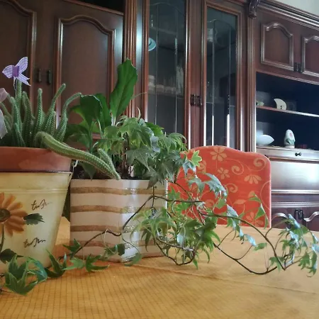 Casa Pinu Pachino